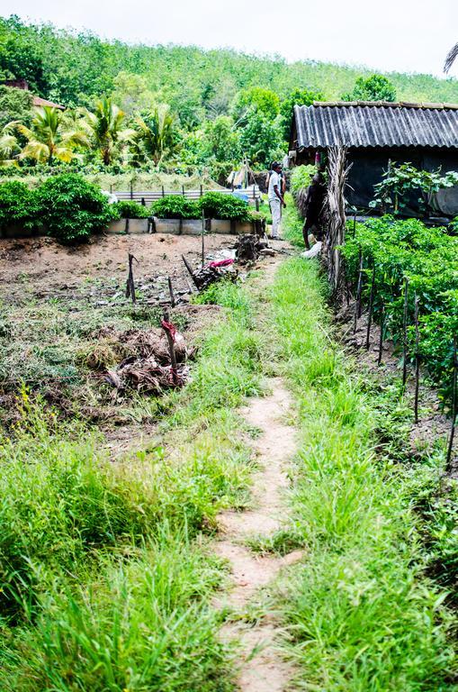 Guesthouse Dilush Beruwala Bagian luar foto
