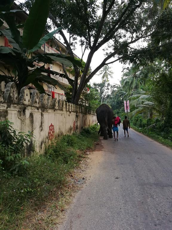 Guesthouse Dilush Beruwala Bagian luar foto